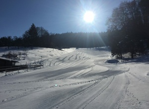 Maskottchen und Lehrmaterial Skischule Truchtelfingen
