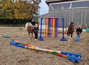 Hof Heiterkeit - Gemeinsam stark mit Pferden