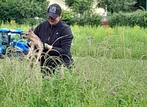 Jungwildrettung mit der Wärmebilddrohne