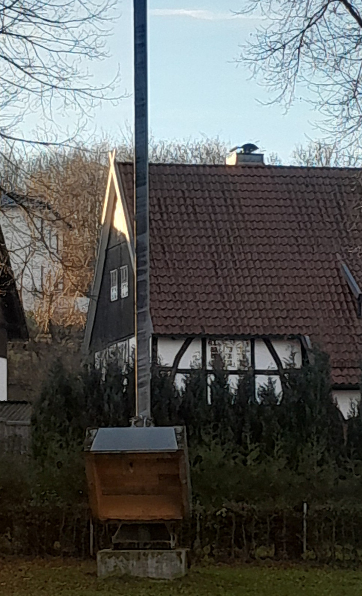 Umsetzung der Vogelstange Schützenbruderschaft Hoppecke