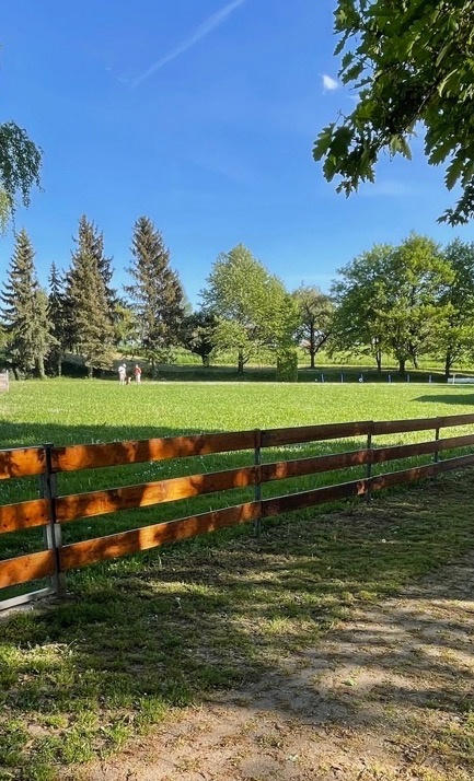 Renovierung Vereinsgelände Hundesportverein Huchenfeld e.V.