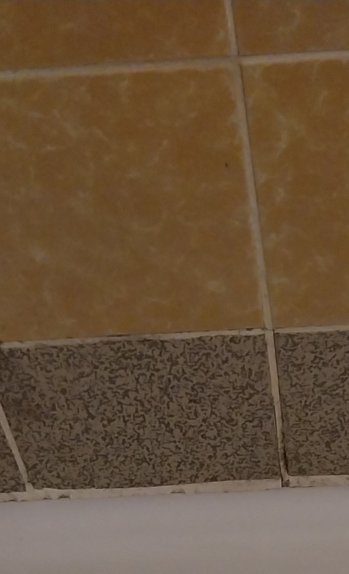 Umbau der Kabinen und Sanitäranlagen
