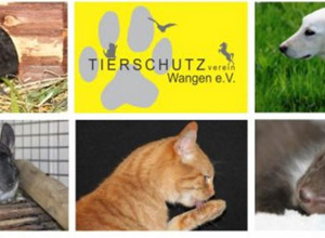 Lebendfallen für scheue Katzen