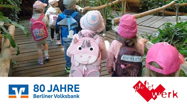 Große Ansicht vom Video