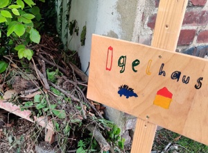 Grünes Klassenzimmer ohne Sitzplätze an der KGS Straß