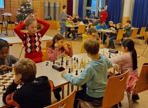 Spielmaterial für Jugendarbeit und Mannschaftskämpfe der Schachfreunde