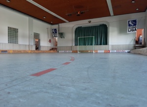 Erneuerung des Hallenbodens der Soli Bischberg (Radball)