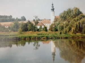 Orgelsanierung in der Wallfahrtskirche Sammarei