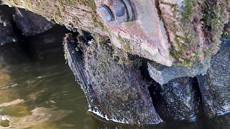 Sport verbindet – Ein sicherer Steg für starke Gemeinschaft