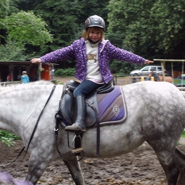 Ein Pony für die "Elfen"! 