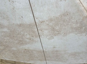 Neue Zelte für die Pfadfinder in Kückelheim