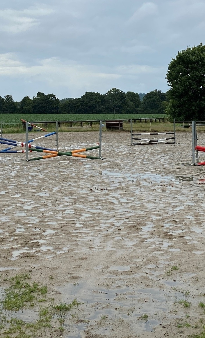 Sanierung des Springplatzes