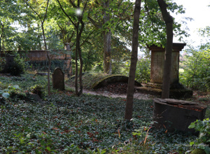 Rettung der historischen Haller Waldbegräbnisse am Lotteberg