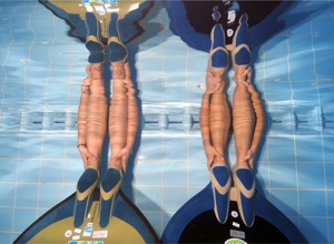 Neue Leihausrüstung für Finswimming und Apnoetauchen