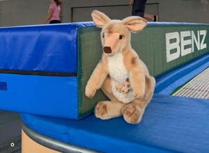 Sicherheitsmatten für die Trampolin-Kids der Kängurus