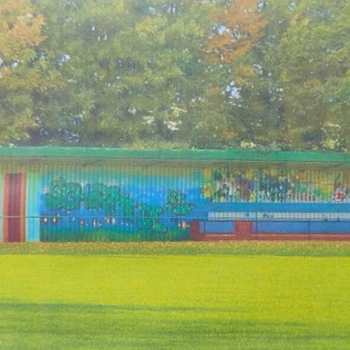Kinder und Jugendliche in Scharmede wünschen sich einen Soccer-Court