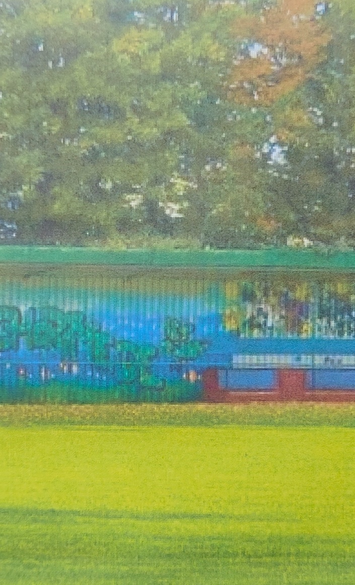 Kinder und Jugendliche in Scharmede wünschen sich einen Soccer-Court