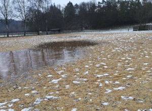 Neuer Sandplatz für Reitunterricht und Turnier