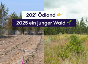 Mehr Wirkung für Klimaschutz