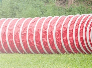 Agility-Geräte für die Hundesportfreunde Sinzig