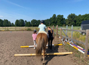 Mit Pferden stark – Ausbildung für tiergestützte Inklusion