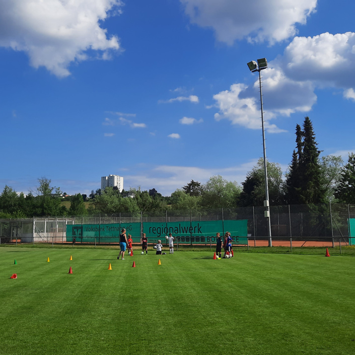 LED Flutlichtanlage TSV Tettnang Abt. Fußball