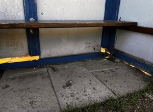 Anschaffung Auswechselbänke