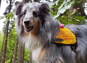 Neue GPS-Geräte für #Retterauf4Pfoten