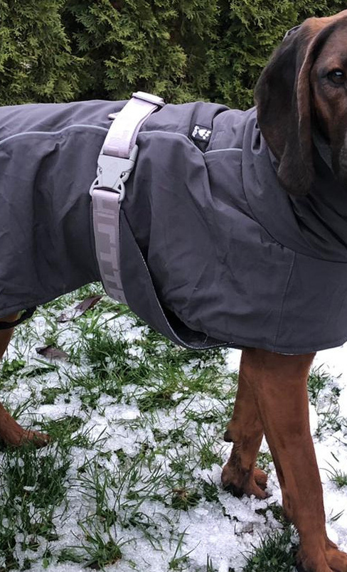 Wintermäntel für Rettungshunde