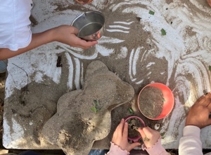 Kochen. Lernen. Zukunft gestalten. - Von Matschküche zur Meisterküche!