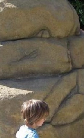 Ein Kletterfelsen für den Bergwildpark Meißner
