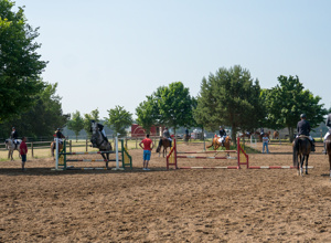 Erneuerung des Turnier-Abreiteplatzes