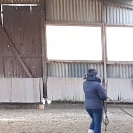 Renovierung der kleinen Reithalle