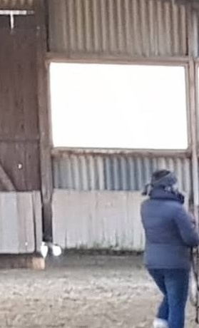 Renovierung der kleinen Reithalle
