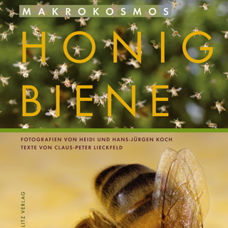Buch: „Makrokosmos Honigbiene“ und Kunstdruck