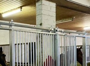 Austausch der Beleuchtung auf unserer Reitanlage