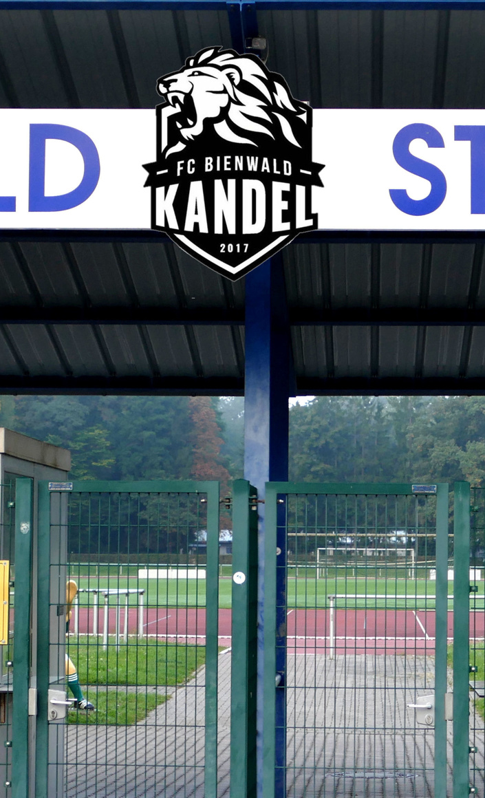 Anschaffung mobiler Trainingstore beim FC Bienwald Kandel