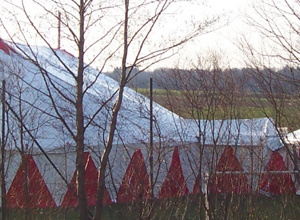 Schule trifft Manege