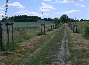 Gemeinsam Leben retten!