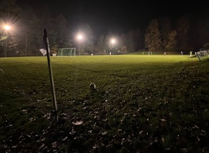 Energie sparen - mit LED Flutlichtanlage