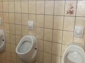 Sanierung unserer Toilettenanlage
