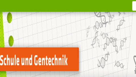 Große Ansicht vom Video