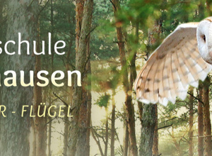 Corona: Unterstütze die Wildnisschule