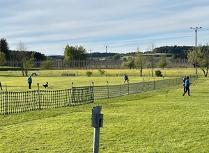 Video - Mähroboter  HSV Tettnang