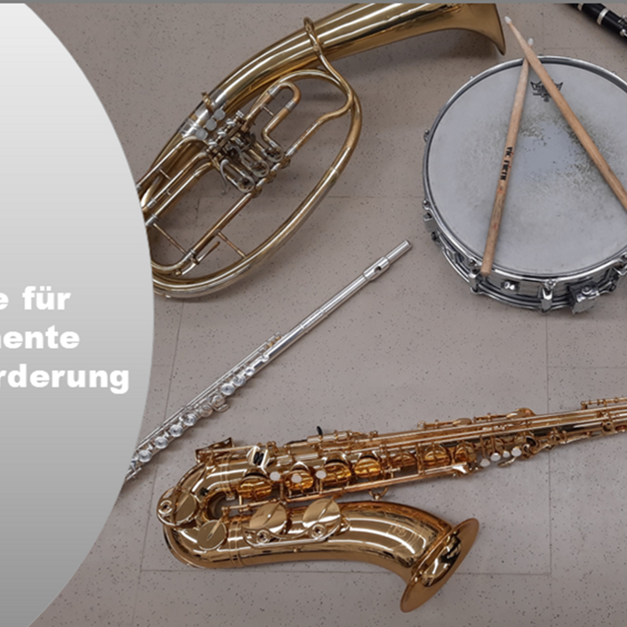 Musikinstrumente für das Bläserprojekt an der Grundschule Dahlheim