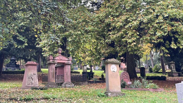 Große Ansicht vom Video