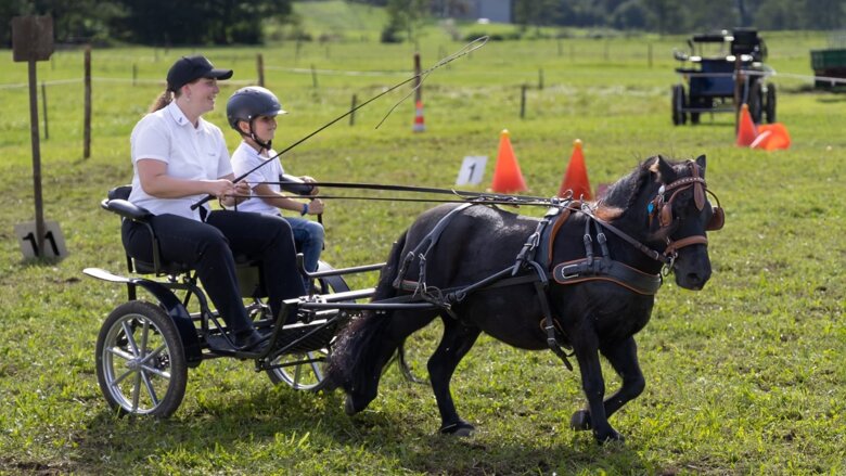 Große Ansicht vom Video