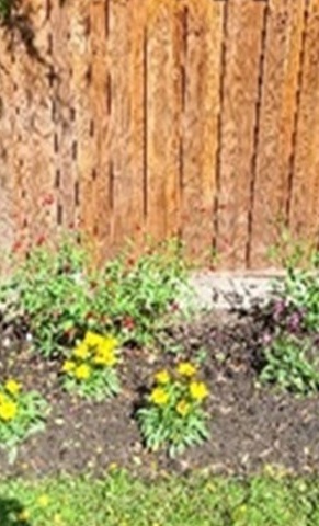 Bienenfreundliche Blumeninseln