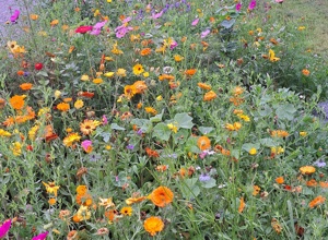 Sitzgruppe am Urnengarten auf dem Friedhof in Windeck-Rosbach