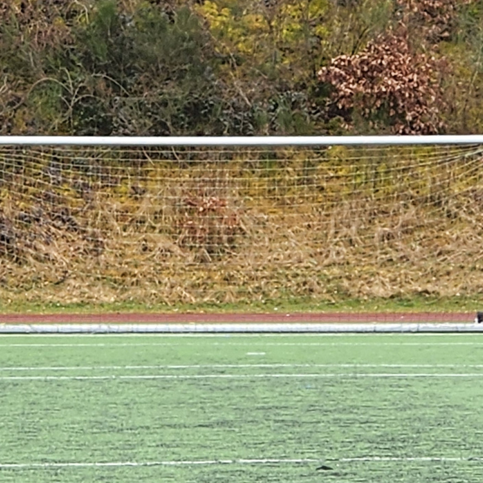 Neue Tore für Fair Play Arena Jünkerath